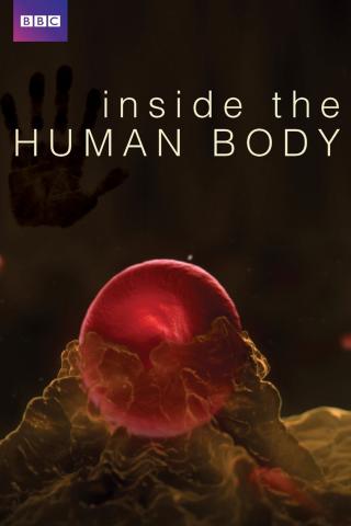 /uploads/images/inside-the-human-body-thumb.jpg